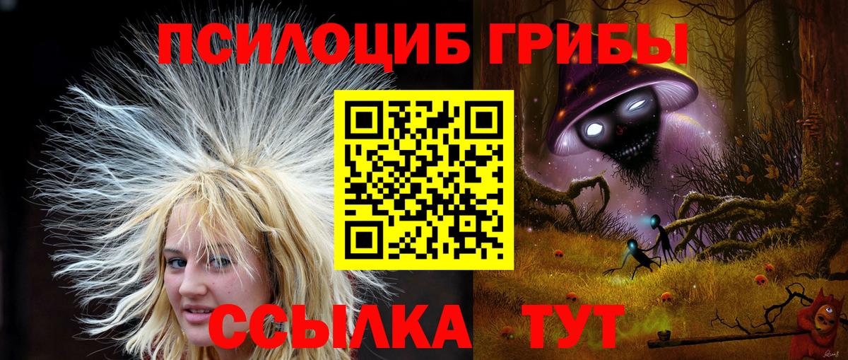 Чита  Псилоцибиновые грибы прущие грибы  что такое   Вход с VPN 