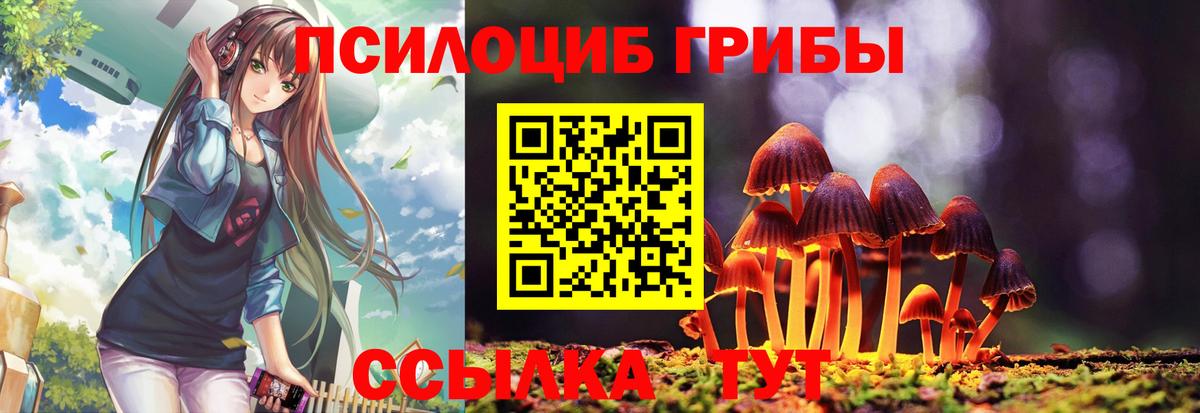 Псилоцибиновые грибы мухоморы Чита